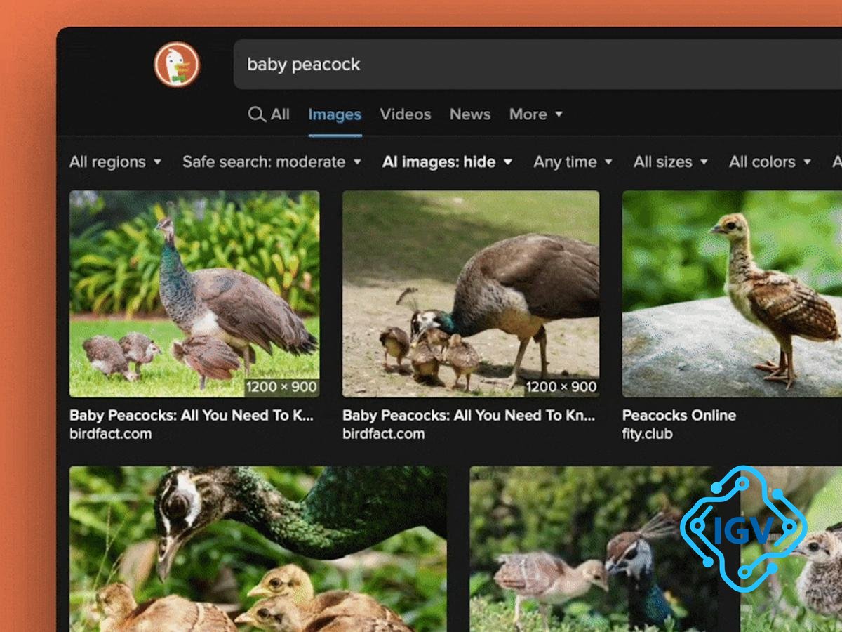 Imagem para DuckDuckGo lança filtro para remover imagens geradas por IA nos resultados de pesquisa