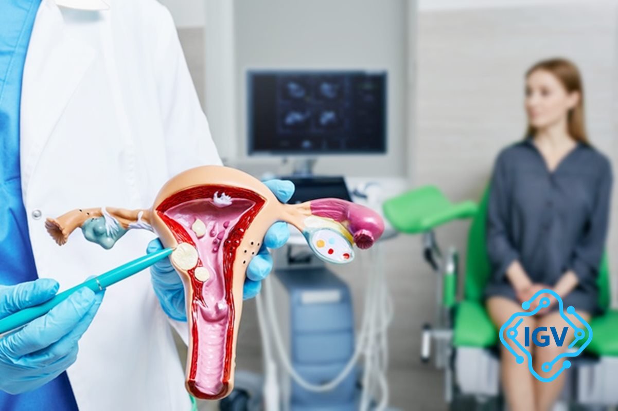 Imagem para Conheça Tudo Sobre os Miomas Uterinos: Causas, Sintomas e Tratamentos