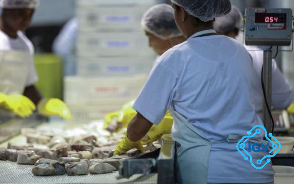 Imagem para Impactos do Tarifaço Americano: Como Empresas de SC Estão Se Preparando