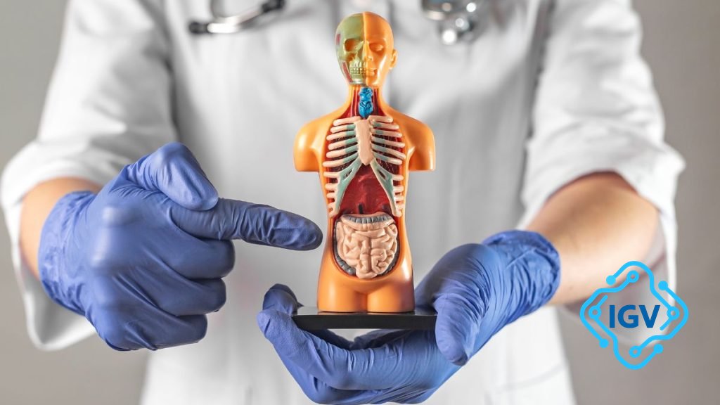 Imagem para Câncer de colón e reto: saiba como prevenir essa doença comum