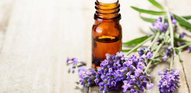 Imagem para Descubra como a Lavanda pode mudar sua vida! 7 dicas para usar suas propriedades mágicas