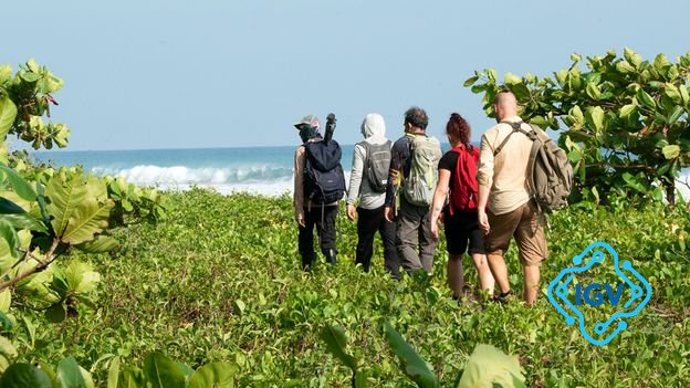 Imagem para Parque Nacional Corcovado: A Biodiversidade e os Desafios do Turismo
