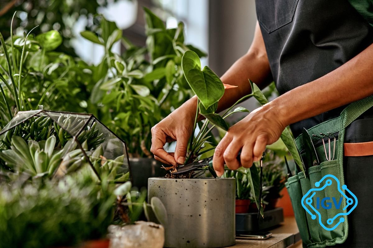 Imagem para Descobra como as plantas percebem o mundo com seus incríveis 'sentidos'