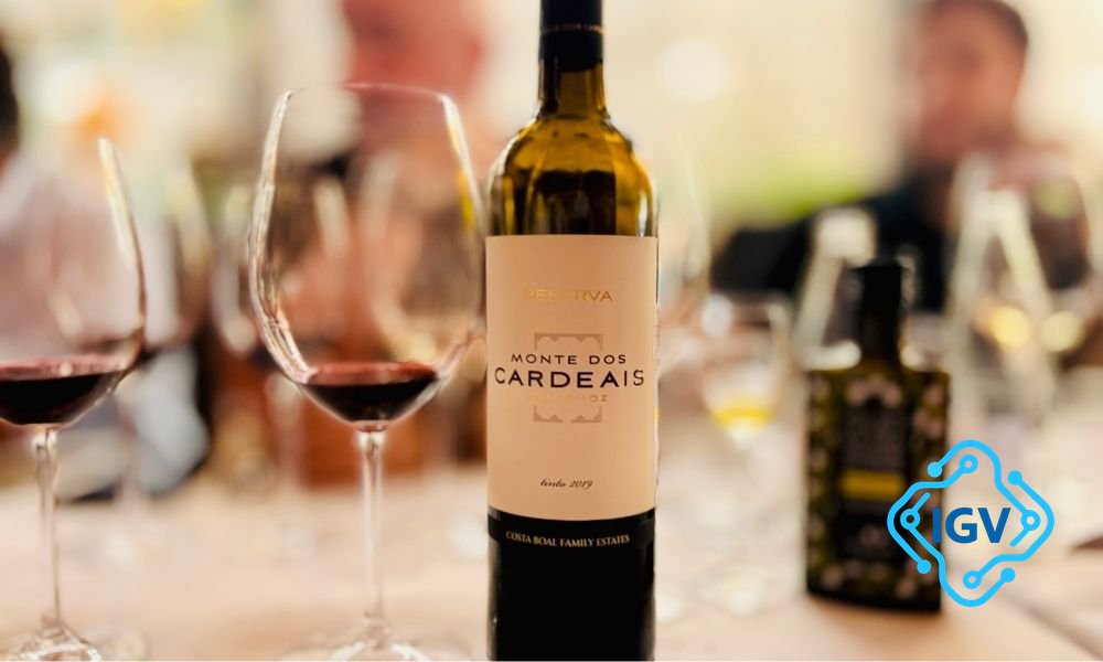 Imagem para Vinhos Portugueses: A Nova Viticultura que Mistura Tradição e Modernidade